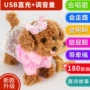 Trẻ em của đồ chơi điện dog leash puppy plush mô phỏng Teddy nữ baby boy thông minh máy điều khiển từ xa đồ chơi cho bé dưới 1 tuổi