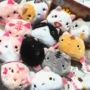 Mèo Nhật Bản bánh bao mèo dưới mèo mèo hoa anh đào đậu curd mèo cọ túi cát búp bê nhỏ đồ chơi mèo sang trọng - Đồ chơi mềm đồ chơi cho trẻ 1 tuổi