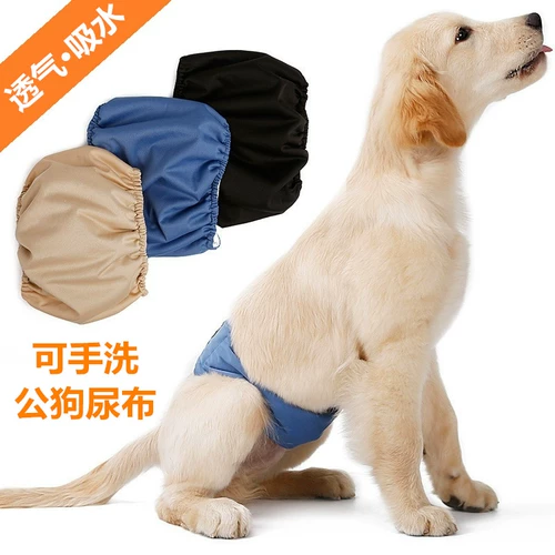 Гонг собаки физиологические штаны мужская собака Собака Полит приносит плюшевую подгузнику размер питтевой воды для мытья мочи и не влажного золотистого грубого спаривания