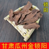Gansu Jiuquan Guozhou Golden Suoyang 250 граммов бесплатной доставки может быть оснащена плотоядным животным 淫 藿 Suoyang