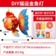 DIY Fuyun Goldfish Feartern