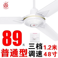 〖Обычный тип〗 48 -INCH VINGING FEANT +