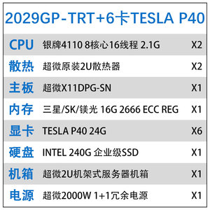 6卡 TESLA P40