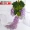 Mô phỏng Hoa Wisteria Hoa cưới Hoa cẩm tú cầu Hoa Sakura Trang trí nội thất Hoa giả Hoa nhựa Hoa Vine trần Trang trí Mây - Hoa nhân tạo / Cây / Trái cây