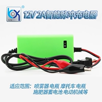 Зарядное устройство, универсальный умный аккумулятор, 12v, 12v, 2A