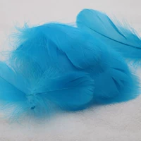 100 корней в озере и синем