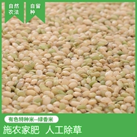 [Shanjian Lily] Green Mi 500G Местные разновидности местных сортов, традиционное выращивание, ферма, ферма, удобрения искусственное прополки