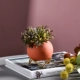 Bắc Âu bóng sắt gốm hoa chậu để bàn đứng bình trang trí trang trí mô phỏng hoa thực vật cắm hoa - Trang trí nội thất