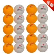 20 bóng bàn màu vàng bóng bàn bàn bóng bàn trắng 4cm trò chơi đầy đủ