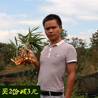Юньнановый фермерский самооценка маленький имбирь 5 фунтов с помощью свежего имбирного имбиря Оригинальное удержание имбирное имбирное приправа имбирь имбирь