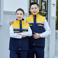 Тибетские синие и желтые плечи