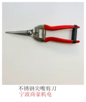 Ножницы -ножницы с ножницами и виноградными инструментами (большой наконечник)