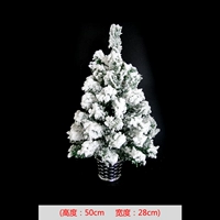 50 см кедрового дерева