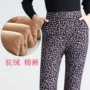 Mùa thu đông cộng với quần legging nhung dày co giãn cộng với phân bón XL cao eo cao đến tuổi trung niên quần cotton ấm quần tất nam lót lông