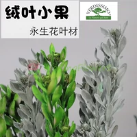 Япония импортированная ферма DADI 02350 Вердиссимо Вечный Цветочный Паратный материал