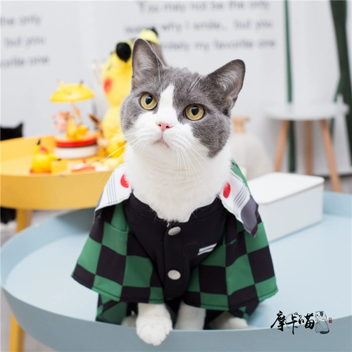 Лезвие лезвия cos cos destiny gate gate carbon round lang sеренка