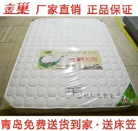 Qingdao Golden Chao Mattress E Youbao Coconut Mengwei Brown Pad Экологически чистый клей 0 Формальдегид 5/8 см. Детская талия уход за талией
