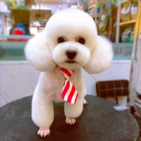 Красный и белый полосатый галстук