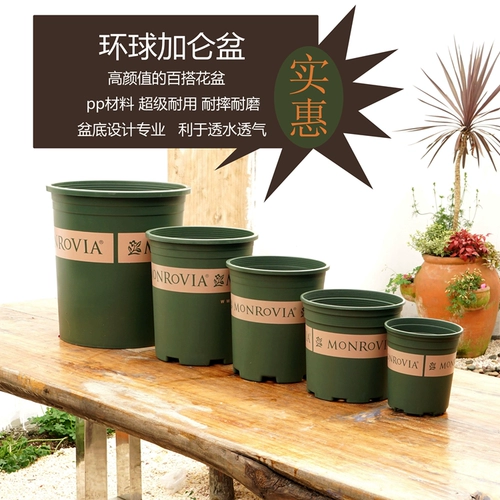 Huihui Garden Global Global Gurlen Pot Bouse Basin Wild Pots Рост