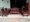 Sofa gỗ hồng trắng từng bước, gỗ hồng sắc của Ao, đồ gỗ gụ, đồ gỗ nguyên khối, gỗ hồng mộc Miến Điện - Bộ đồ nội thất