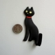 Черная кошка