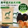 Thức ăn cho chó Chow Chow Mastiff Doberman Rottweiler Thức ăn cho chó Caucus chó trưởng thành 10kg20 kg - Chó Staples hạt zenith cho chó con