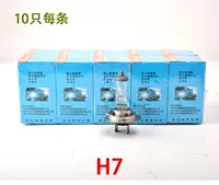 Foshan Zhao Bubble H7 24V 70W 10
