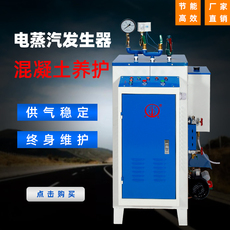 Бойлер 佳先电加热全自动蒸汽发生器蒸煮（一年保修） 电锅炉24kw