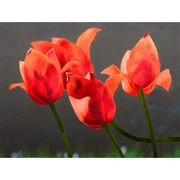 Tô Châu thêu DIY kit mới bắt đầu nhập cảnh khâu tự quét thêu tay hoa và hoa tulip đỏ zero-based - Bộ dụng cụ thêu