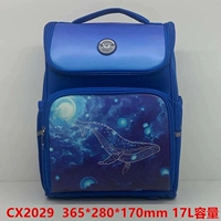 CX2029 Сапфир класса 1–3