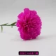 Light Rose Red 30 Carnations Material Package