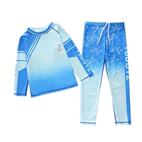 P2418-29MZ Blue-Green Gradient Aerospace Bear