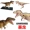 4D Master lắp ráp giải phẫu động vật mô hình khủng long tĩnh trẻ em đồ chơi giáo dục mẫu giáo
