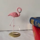 Pink-Firebird модель