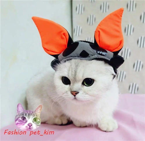 Чистая кошка и собака черные платья летучих мышей в Хэллоуин