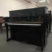 Đức nhập khẩu đàn piano Wilh steinberg William Stanburg Steinberg IQ24 vương miện - dương cầm