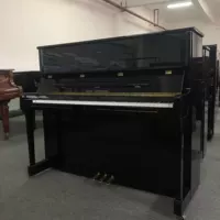 Đức nhập khẩu đàn piano Wilh steinberg William Stanburg Steinberg IQ24 vương miện - dương cầm piano co