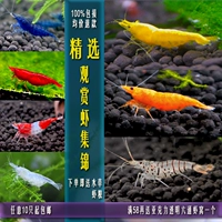 钐妪 拖 拖 拖 拖 凵 凵 凵 Инструменты Резиновый желтый рисовый животный креветки, креветки, вишневые креветки