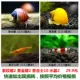 Purple Snail 2 Золотая улитка 2 Xiangjis 10 Red Crystal 2