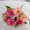 Hoa đồng tiền hoa đồng tiền hoa đồng tiền hoa giả hoa cúc ảnh đạo cụ nhựa hoa trang trí nhà hàng loạt - Hoa nhân tạo / Cây / Trái cây