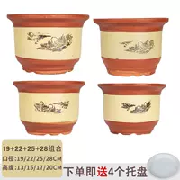 19+22+25+28 (4 горшки)