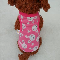 Красный арбуз