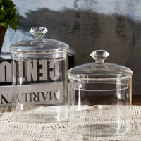 Creative Glass Nordic Storage Home Декоративное прозрачное украшение горшка
