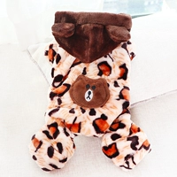 Леопардовый маленький медведь износ