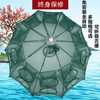 渔 渔  网      阆 阆    ビ阕 阃  峙 峙 峙        