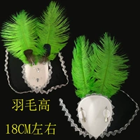 Фруктовые зеленые перья+белая шляпа