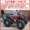 Zongshen Big Bull ATV 125-250CC Xe máy bốn bánh Bull Bull SUV ATV Mountain Bike xe máy điện trẻ em