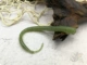 Водяная личинка 7#ying green guet Hail 6