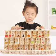 Bóng gỗ 100 cái hai mặt nhân vật Trung Quốc domino giáo dục cho trẻ em bằng gỗ khối 2-3-6 năm từ cũ vòng