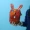 Retro da phim hoạt hình điện thoại di động túi nữ vai Messenger thời trang thỏ sinh viên sáng tạo điện thoại di động túi nhỏ ba lô - Túi điện thoại
